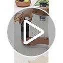 Contigo SNAPSEAL Insulated Stainless Steel Travel Mug with Grip 20oz. Blue Corn Transparent Satin & Midnight Berry