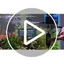 AQQA DC Aquarium Water Pump with Controller,4 Flow Adjustable,Feed Mode,IP68 Submersible Quiet Fish Tank Pump,3 Nozzles fo...