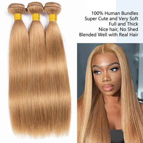 Habiliana Bundles Human Hair 18 20 22 Inch Straight Brown 27 Human Hair Bundles 11A Unprocessed Brazilian Virgin Quick Weave Hair Extensions for Black Women
