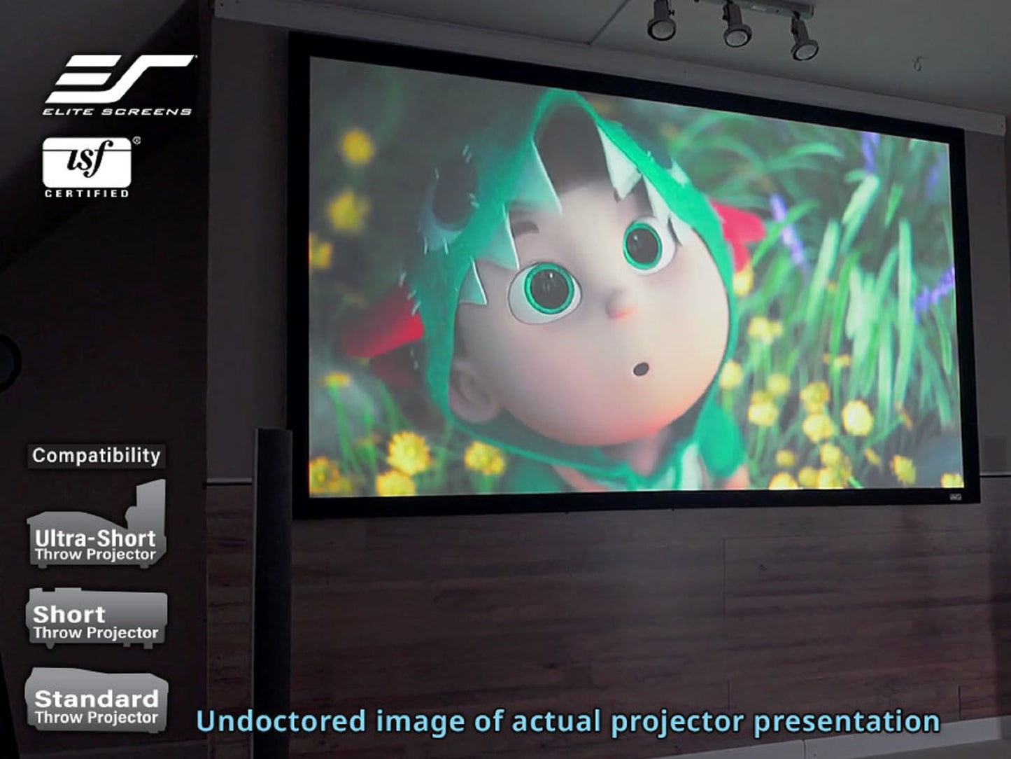 Elite Screens 200 inch Projector Screen 16:9, Wall Mounted Fixed Frame , 8K/4K UHD & Active 3D Ready, ISF-Certified Material for Home Theater, Office & Indoor Presentations, Sable Frame 2, ER200WH2