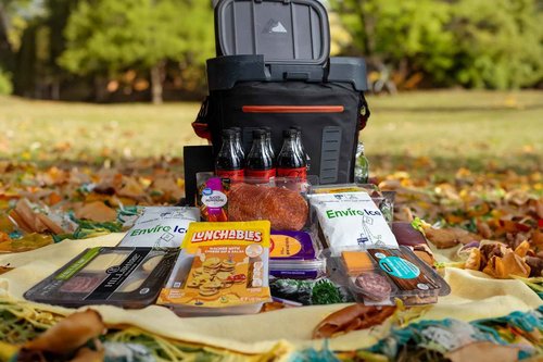 ENVIRO ICE ™ Non Toxic Ice Packs-48 Count (6" x 6" x 3/4") Reusable for Coolers, Food Shipping, Lunch Boxes, and Medicine Shipping