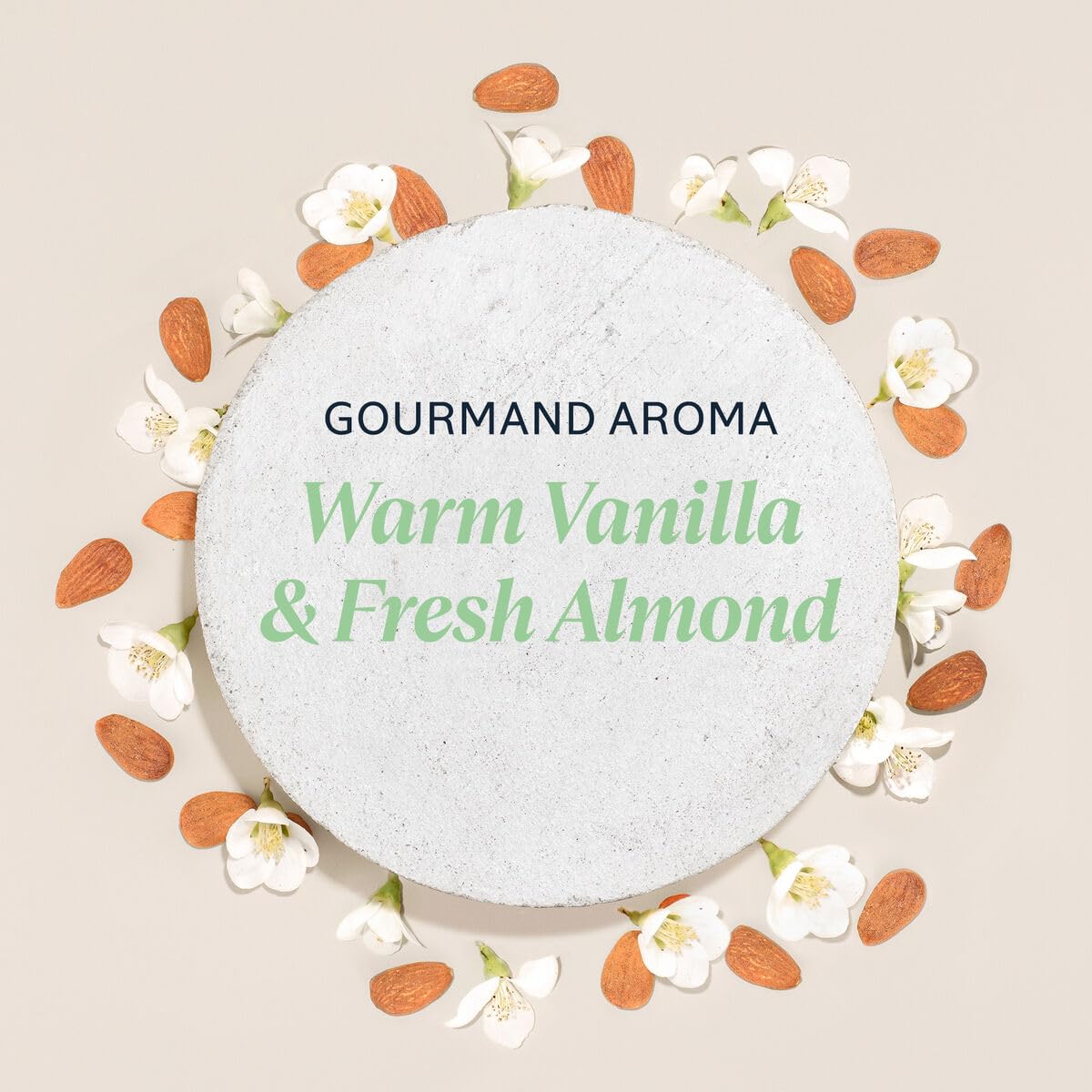 L'Occitane Almond Delicious Hands Moisturizing Hand Cream Enriched with Almond Oil 1.00 fl oz