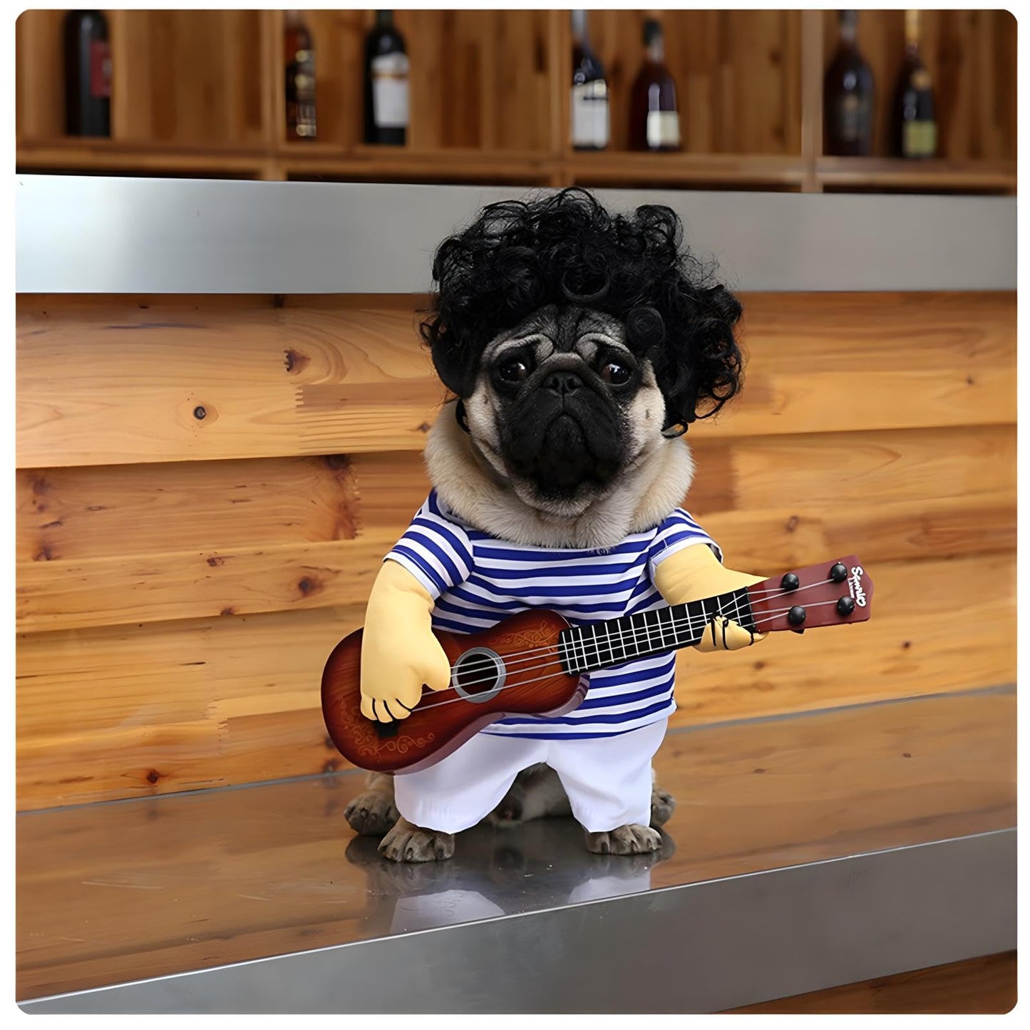 NACOCO Pet Guitar Costume Dog Costumes Cat Halloween Christmas Cosplay Party Funny Outfit Clothes (L)