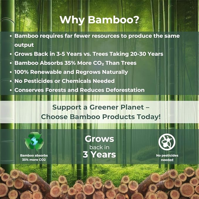 100% Bamboo Toilet Paper - 3 Ply 12 Mega Rolls (Equivalent to 20 Regular Rolls) | Highly Absorbent, Hypoallergenic, FSC-Certified | Eco-friendly,Sustainable, 360 Sheets per Roll, Eco-Conscious Choice