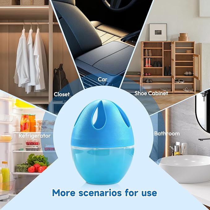Refrigerator Deodorizer, Natural Plant Fridge Deodorizer Long-Lasting Odor Eliminator for Refrigerator, Air Freshener for Kitchen, Shoe Cabinet, Pet Areas