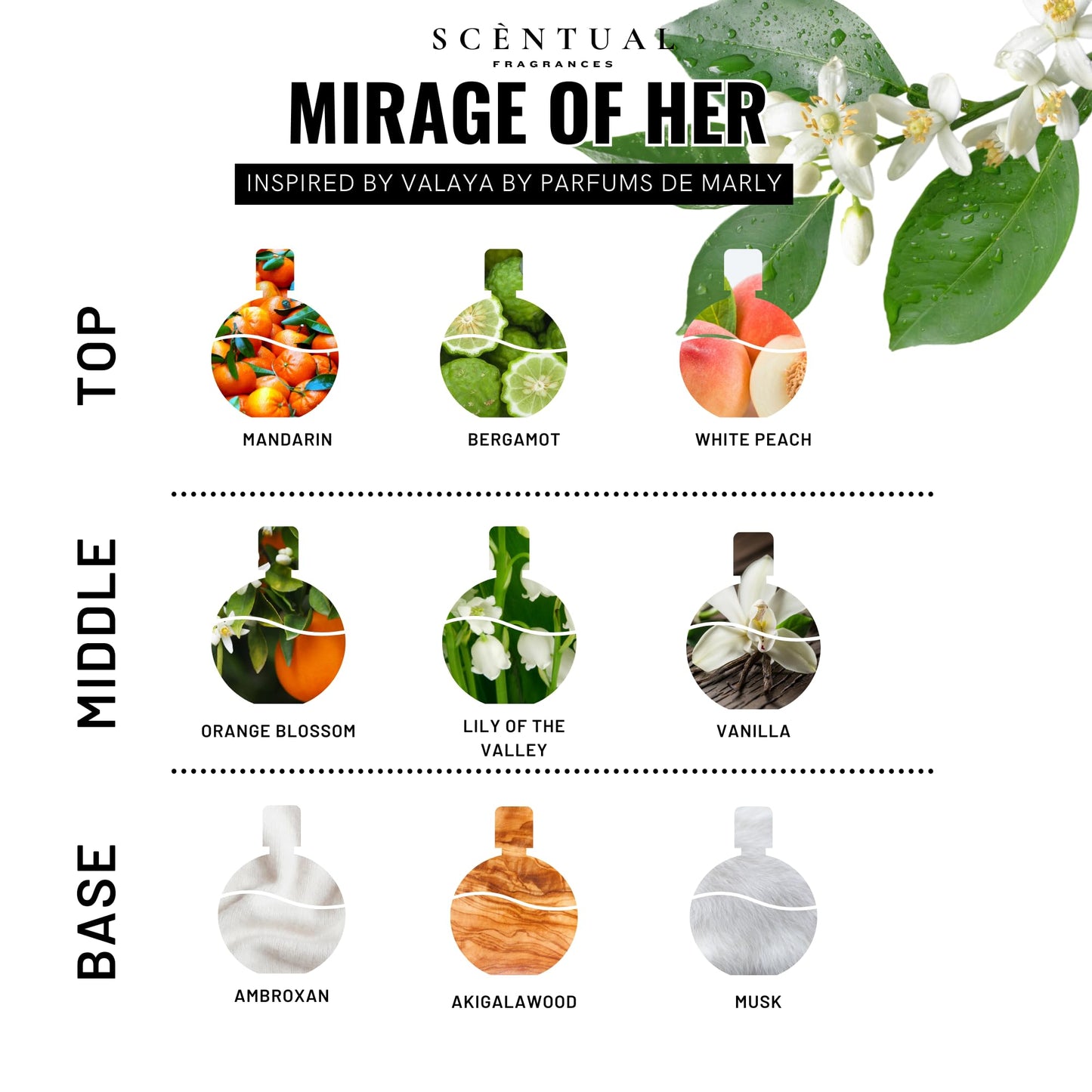 Scentual Fragrances, Luxury Perfume Oil, Ultra-Concentrated Women Roll-On Fragrance Oil, Long Lasting Rollerball Travel Mini Perfume, Vegan, Alcohol & Cruelty Free 10ml (Mirage of Her)