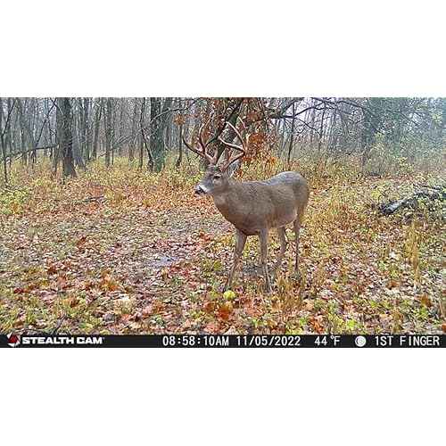 STEALTH CAM Fusion X-Pro Dual Sim 36 MP Photo & 720P HD Video 0.4 Sec Trigger Speed Wireless Hunting Trail Camera - Available on AT&T & Verizon