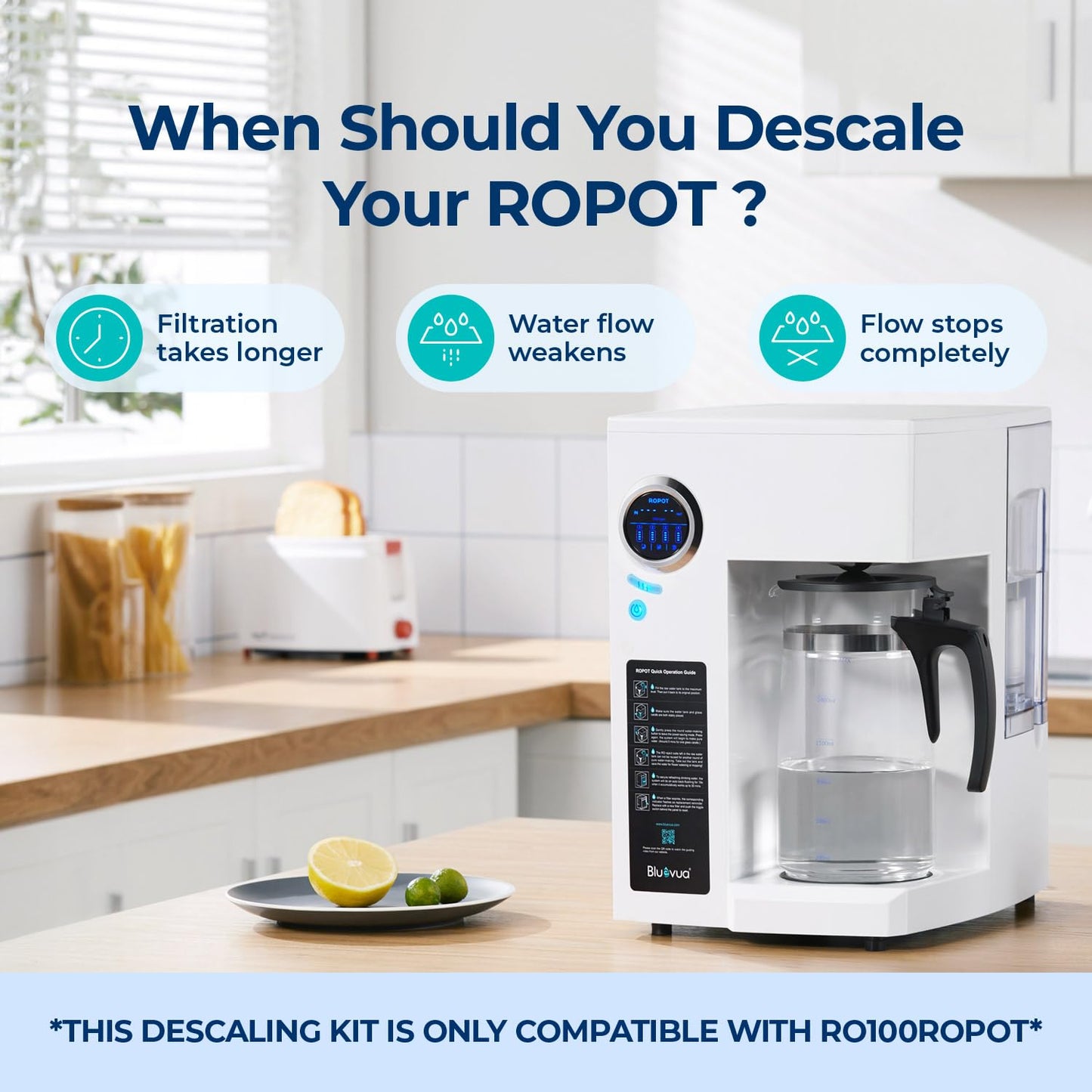 Bluevua Descaling Kit for RO100ROPOT System - Essential Maintenance for Optimal Water Quality