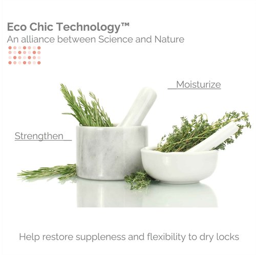 GIOVANNI ECO CHIC 50:50 Balanced Hydrating-Calming Conditioner - Leaves Hair pH Balanced for Over-Processed, Lauryl & Laureth, Sulfate Free, No Parabens, Color Safe - 128 oz