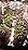 RDJ Bouns Under Canopy Grow Light for Grow Tent, 60W Full Spectrum with 660nm & IR, 0-10V Dimming Grow Light Bars, High Wa...