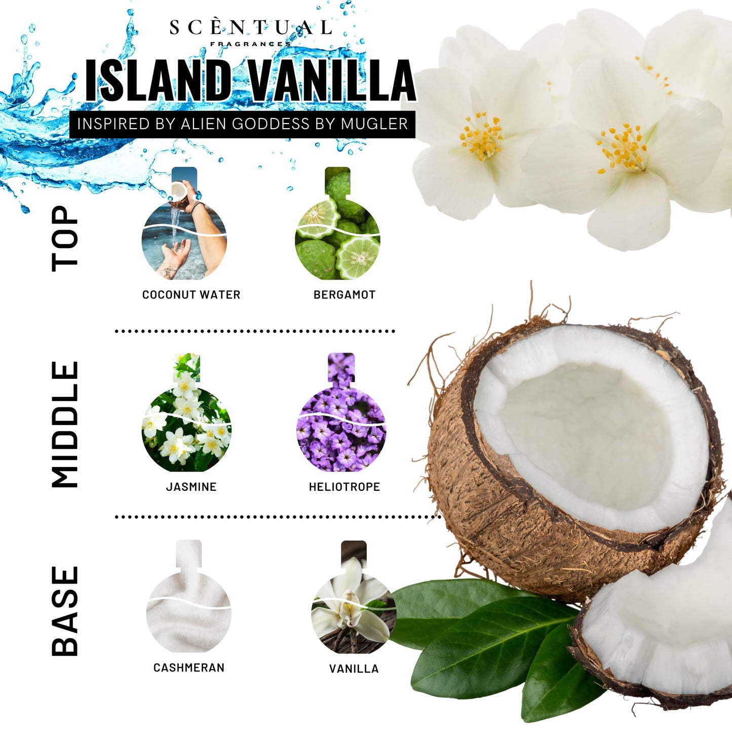 Scentual Fragrances, Luxury Perfume Oil, Ultra-Concentrated Women Roll-On Fragrance Oil, Long Lasting Rollerball Travel Mini Perfume, Vegan, Alcohol & Cruelty Free 10ml (Island Vanilla)