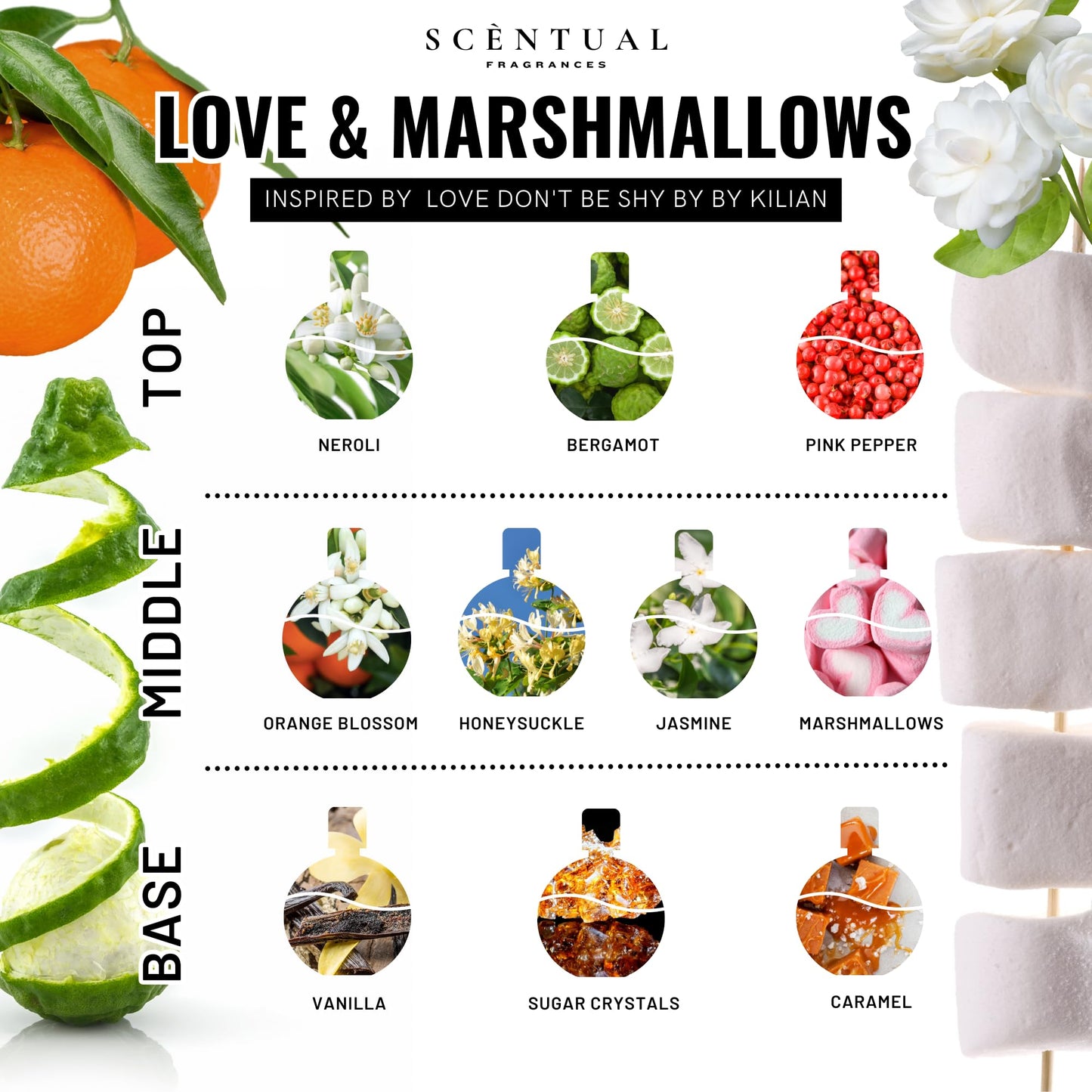 Scentual Fragrances, Luxury Perfume Oil, Ultra-Concentrated Women Roll-On Fragrance Oil, Long Lasting Rollerball Travel Mini Perfume, Vegan, Alcohol & Cruelty Free 10ml (Love & Marshmallows)