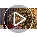 PEIDUO Artificial Tree for Christmas Decorations, 2FT Birch Tree with LED Lights, Warm White Fairy Lights Spirit Tree Lamp...