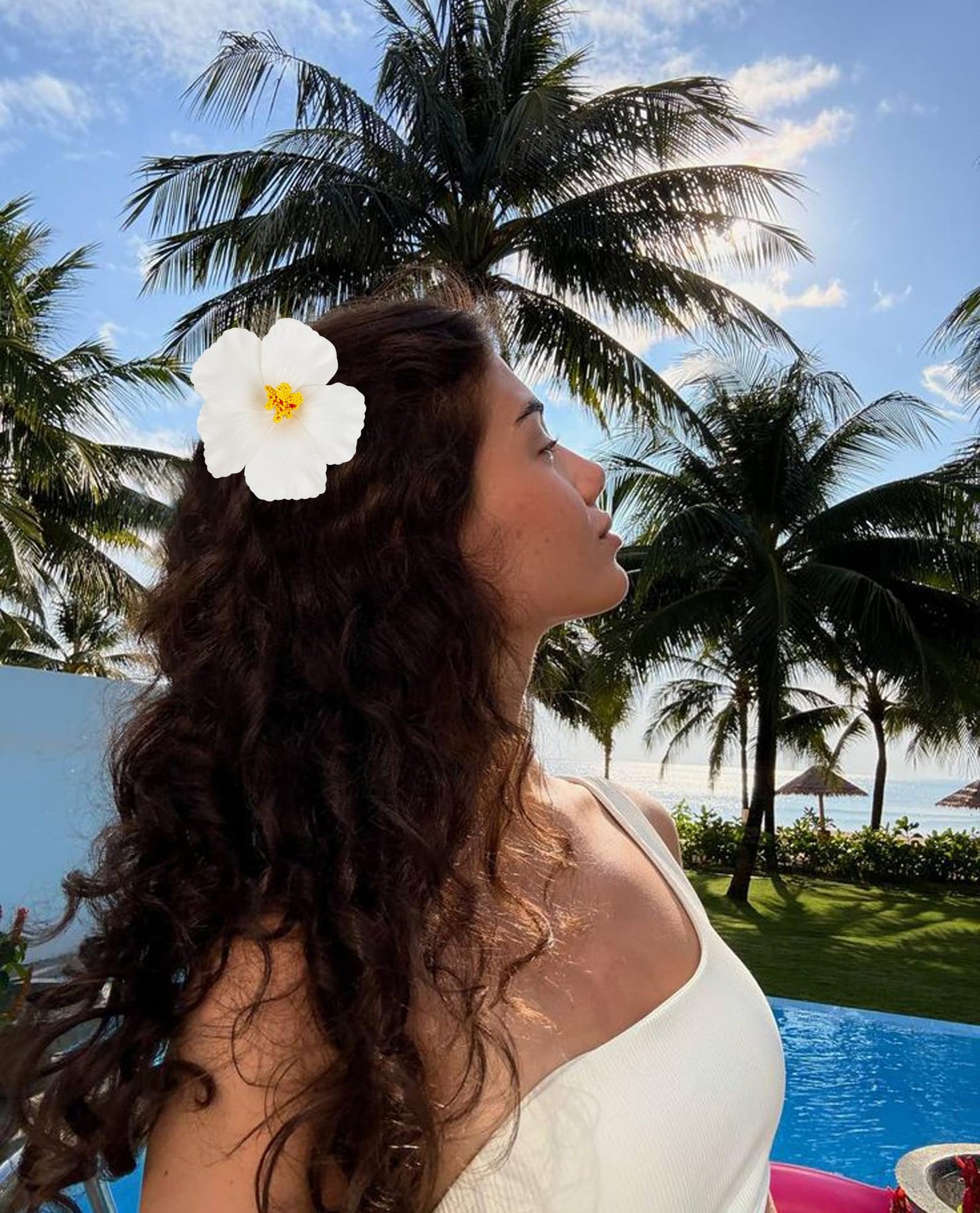 WOVOWOVO Hawaiian Flower Hair Clips for Women 5Pcs Flower Clips for Hair 4 Plumeria Hibiscus Hair Clip Artificial Flowers for
