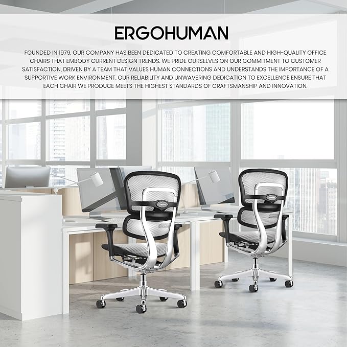 Ergohuman Eurotech ME8ERG GEN2 High Back Mesh Office Chair with Tilt Tension Control, Tilt Lock, Back Angle, Back Height, Synchro Tilt, Seat Height, Seat Depth, and Arm Height Adjustments, Grey