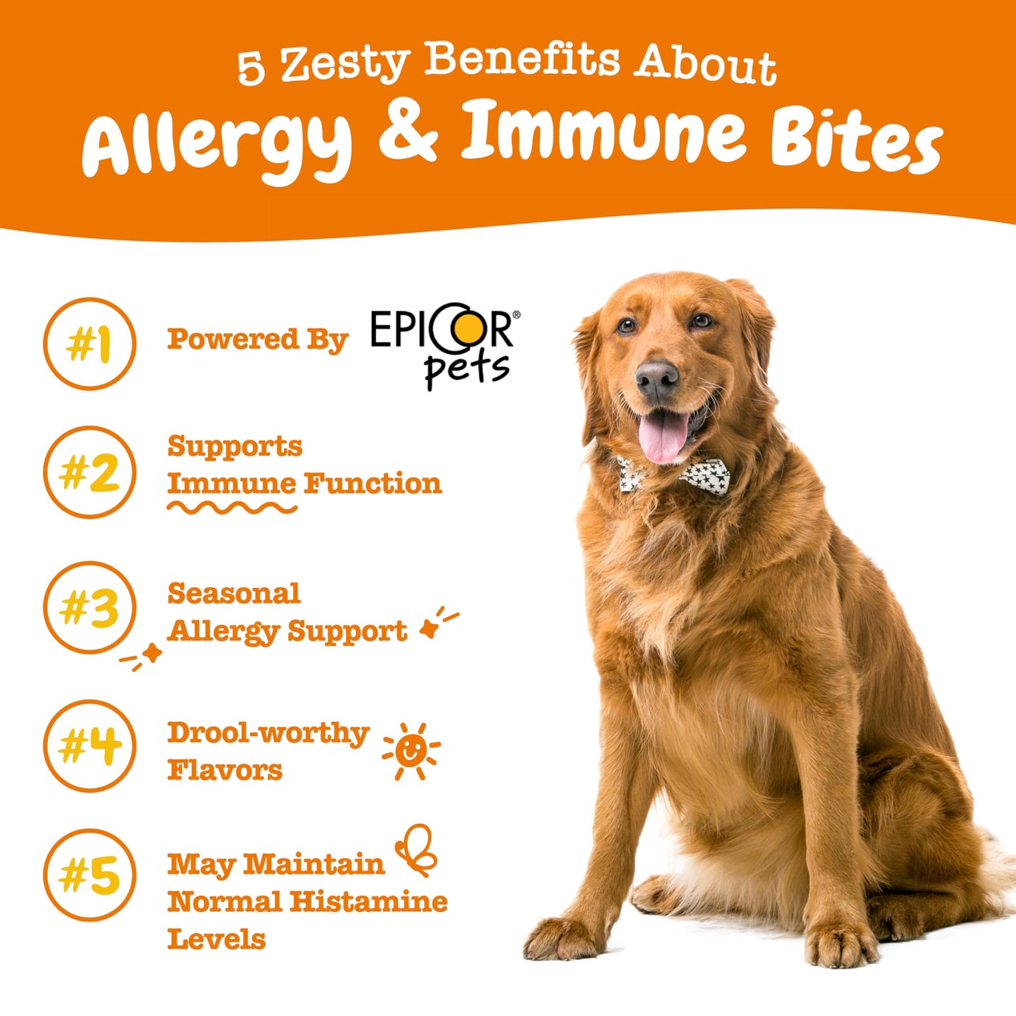 Zesty Paws Dog Allergy Relief Chews, Dog Probiotics for Itchy Skin and Ears, Lamb, 90ct