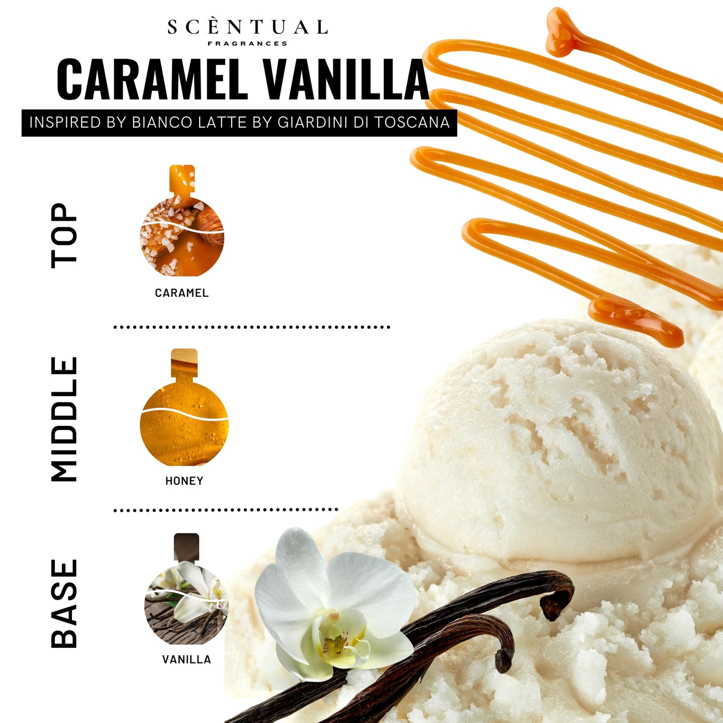 Scentual Fragrances, Luxury Perfume Oil, Ultra-Concentrated Women Roll-On Fragrance Oil, Long Lasting Rollerball Travel Mini Perfume, Vegan, Alcohol & Cruelty Free 10ml (Caramel Vanilla)
