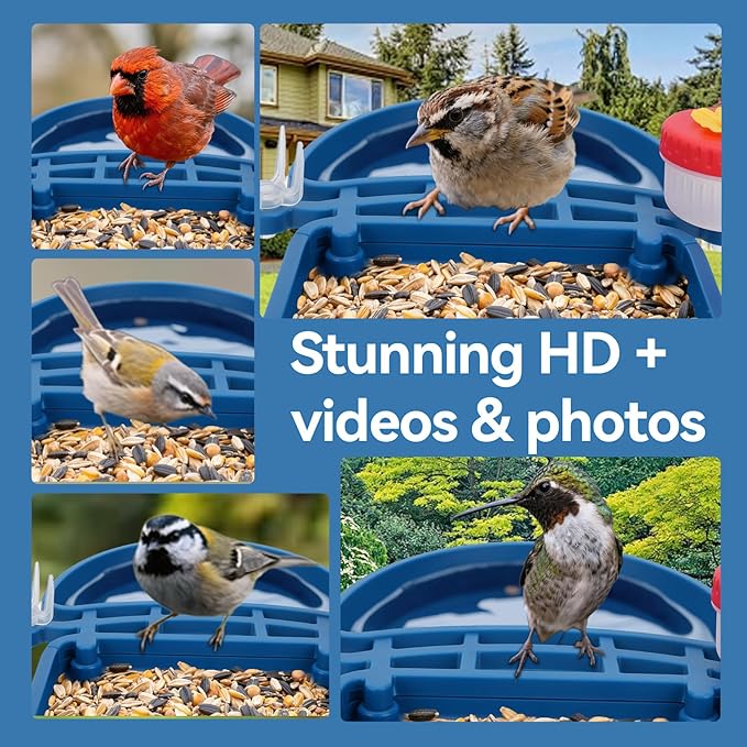 Bird Feeder with Camera Solar Powered,2.5K HD Video Bird House Live View,Smart AI Bird Species Identification for Outside Garden,Birds Bath,Ideal Gift for Birds Lover,Hummingbird (Blue)