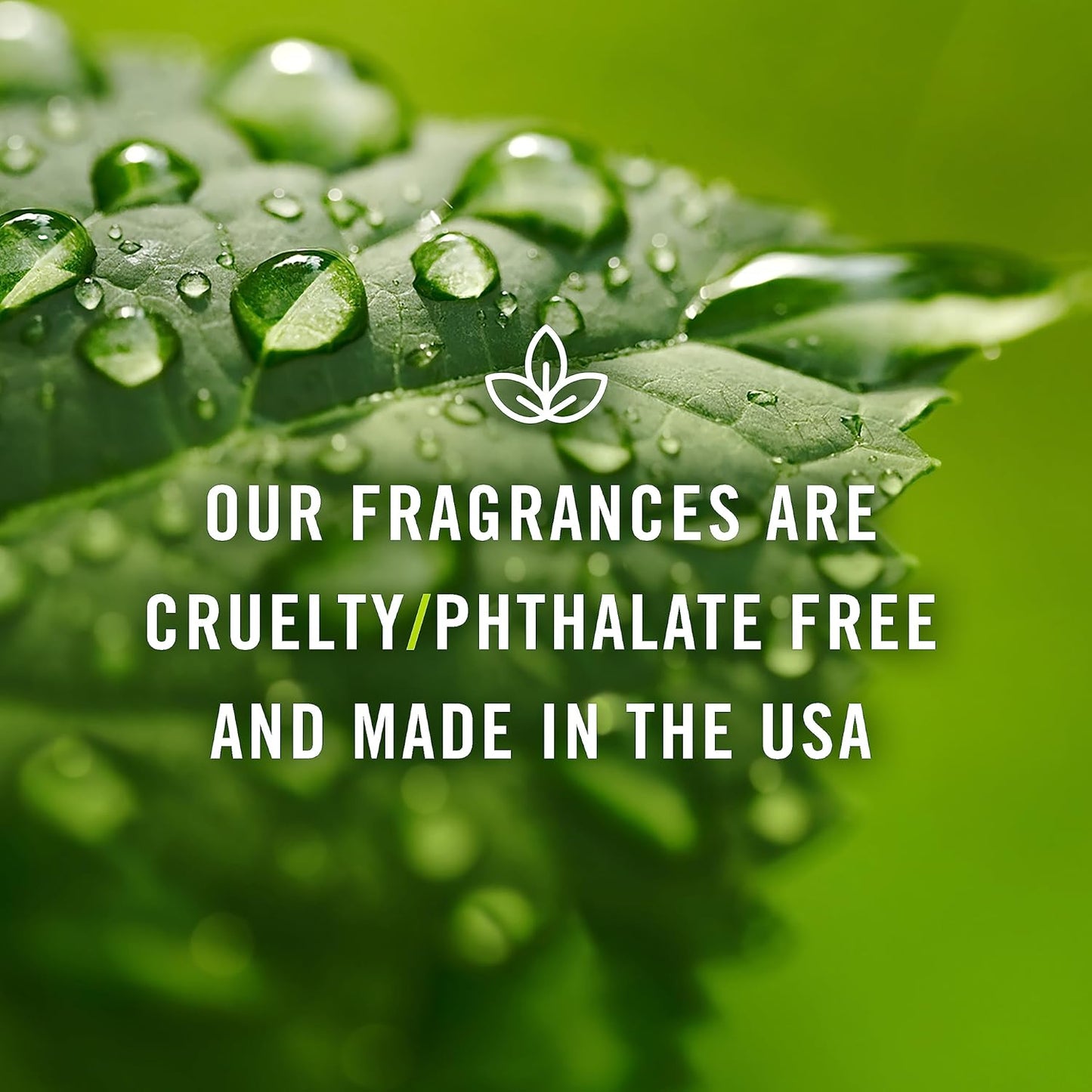 P&J Trading Fragrance Oil | Lavender Oil 30ml - Candle Scents for Candle Making, Freshie Scents, Soap Making Supplies, Diffuser Oil Scents