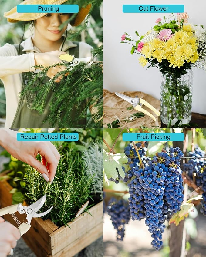 Garden Scissor for Plant, 12 Pcs Floral Scissors, Tip Pruning Shears Bulk for Cutting Flowers, Bonsai, Fruits and Trimming Plants