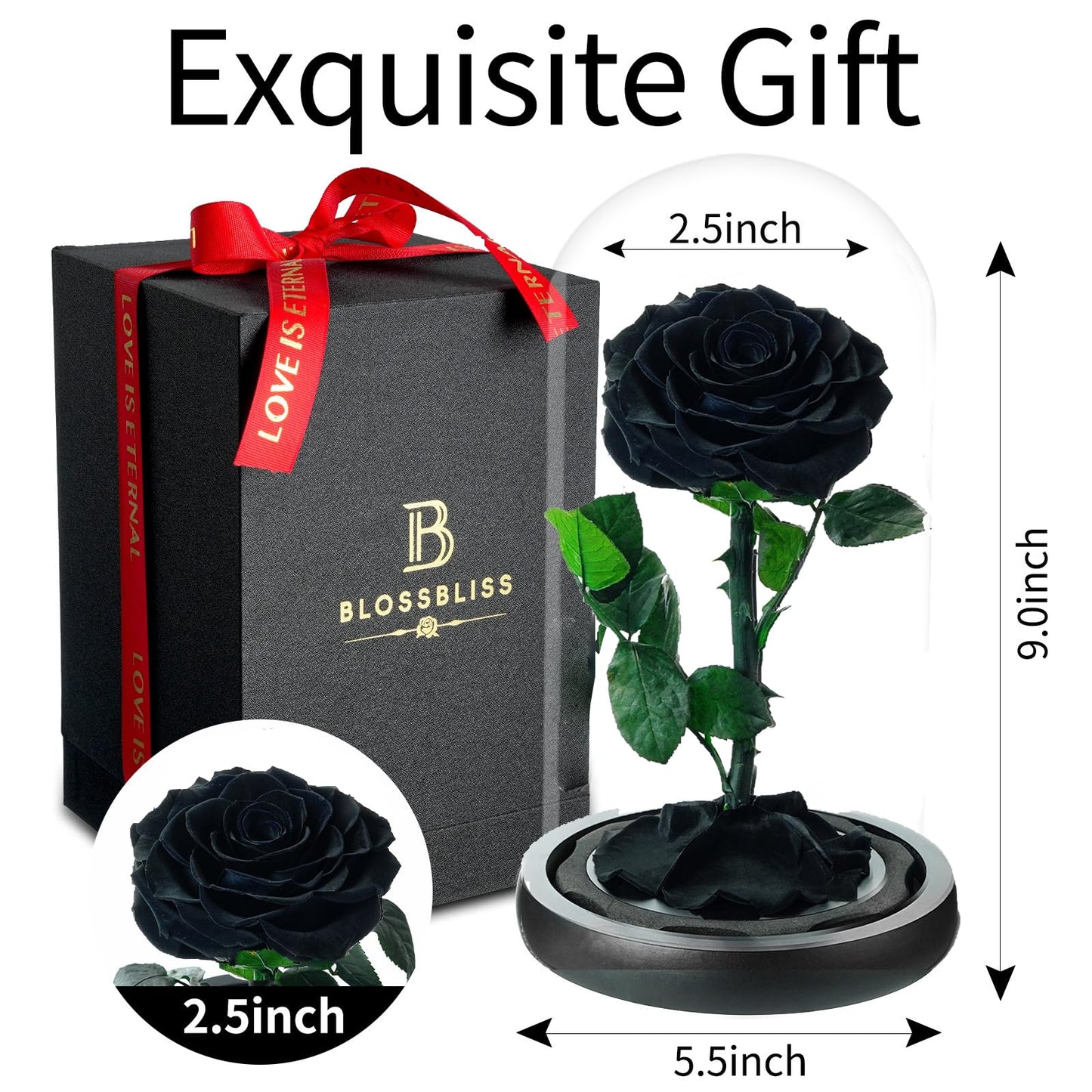 BLOSSBLISS Forever Preserved Flower Real Black Rose in Glass Dome, Flower Gift for Men Him Her Wife Husband Mother, Eternal Flowers for Christmas,Valentine's Day, Thanksgiving Day, Birthday,9 Inch