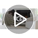 UGG Adalee Faux Fur Throw Blanket Luxury Lightweight Cozy Soft Throw for Couch Bed or Chair Hypoallergenic Machine Washabl...