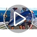 Fiblink 1-Piece Saltwater Offshore Trolling Rod 6-Feet Big Game Rod Conventional Boat Fishing Pole