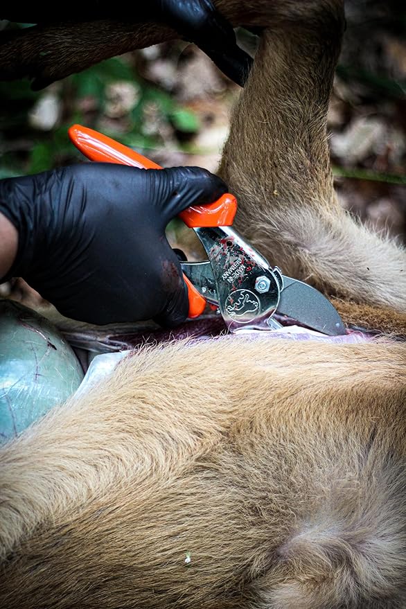Original LÖWE Professional Hunting Shears 1.117 | Robust Anvil Scissors as Alternative for Hunting Knives | Use For Game & Meat Processing, Bone Cutting & Pruning | Carbon Steel | Made in Germany