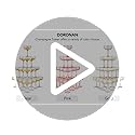 DORONAN 20 Pack Plastic Champagne Tower, 7oz Champagne Coupe Unbreakable Plastic Cocktail Glasses Acrylic Martini Glasses ...