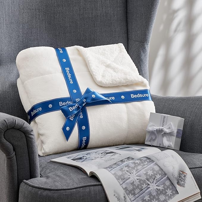 Bedsure GentleSoft Sherpa Fleece Throw Blanket for Couch - Thick and Warm Throw for Women and Men, Soft Fuzzy Plush Blanket for Winter, Non-Heated, White, 50x60 Inches