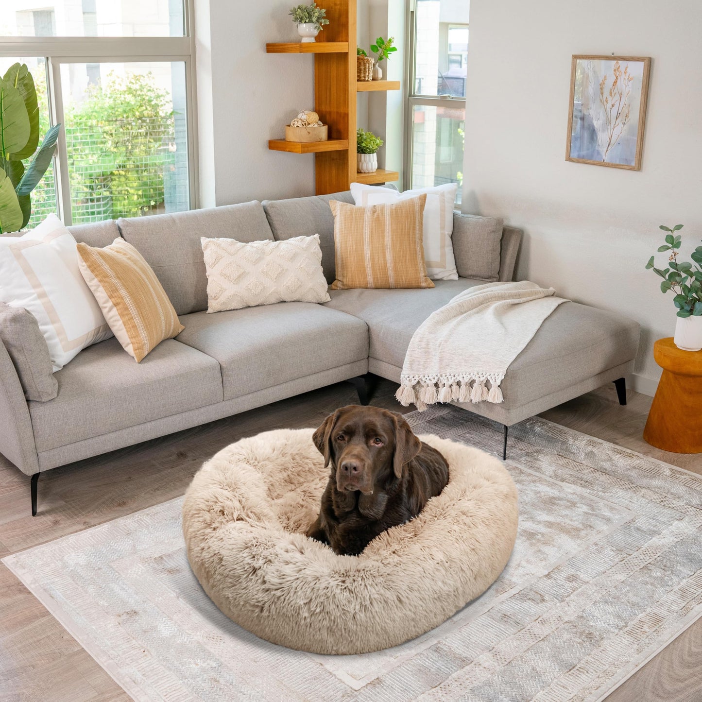 Best Friends by Sheri Original Calming Donut Dog and Cat Bed, Shag Faux Fur, Taupe, Large (36in x 36in) - Helps Provide Anxiety Relief for Pets