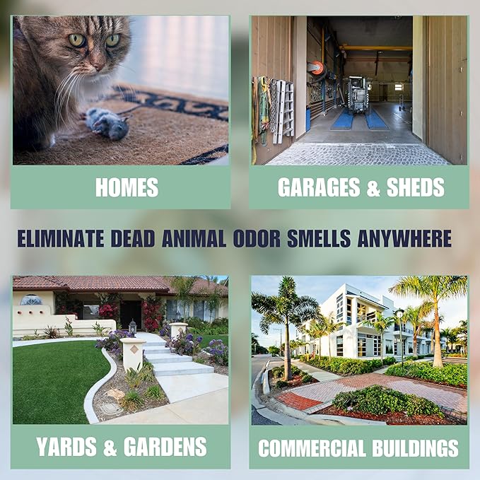 SMELLEZE Dead Animal Odor Eliminator for Strong Odor Removal - Eliminate Dead Rodent & Wildlife Smell - Safe Indoor & Outdoor Use, Natural Odor Remover, Fresh & Effective - 1 Pouch