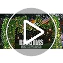 RECUTMS Ivy Fake Vines for Room Decor 12 Pack 86 FT Artificial Plant with 100 LED String Light Bedroom Aesthetic Hanging G...