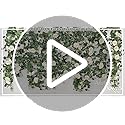 TOCHGREEN 2 Pack 13Ft Artificial Eucalyptus Flower Garland with White Roses, Fake Rose Flower Greenery Garland Floral Vine...