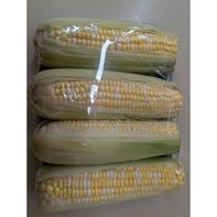 Yellow Sweet Corn️
