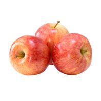 Gala Apple️