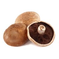 Portabello Mushroom️