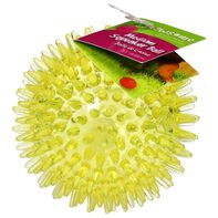 Gnawsome Squeaker Ball, Medium️