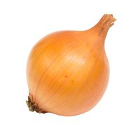 Organic Yellow Onion️