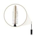 Max Factor 2000 Calorie Dramatic Look Mascara - Black 9 ml
