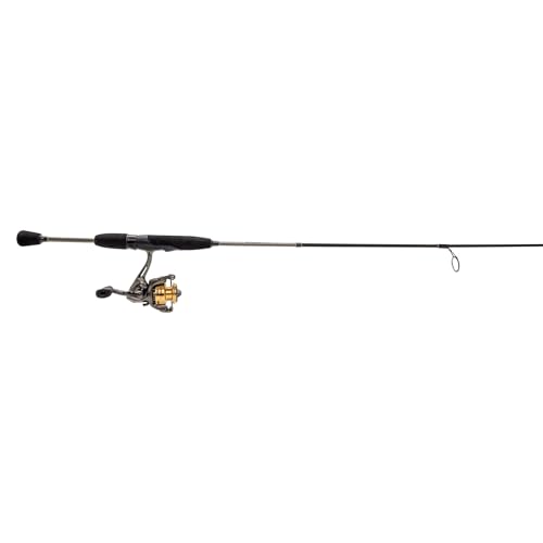 Lew¡¯s Laser Lite Spinning Reel and Fishing Rod Combo, IM6 Rod with Fast Action, 3+1 Bearings, Speed Lube, Metallic Gray/Gold/Black