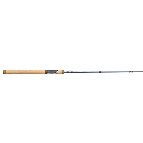 Pflueger President Casting Fishing Rod