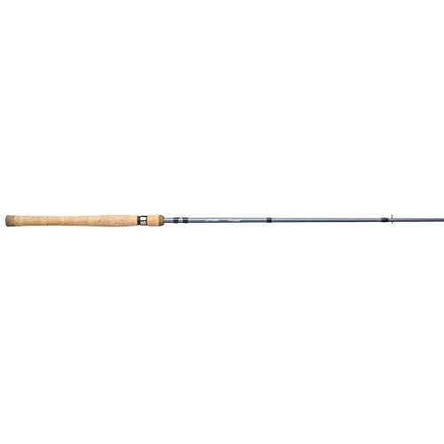 Pflueger President Spinning Fishing Rod