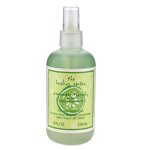 HEALING GARDEN CUCUMBER THERAPY by Coty