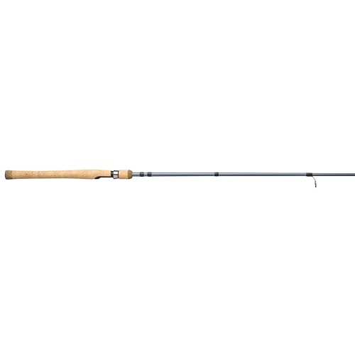 Pflueger President Spinning Fishing Rod
