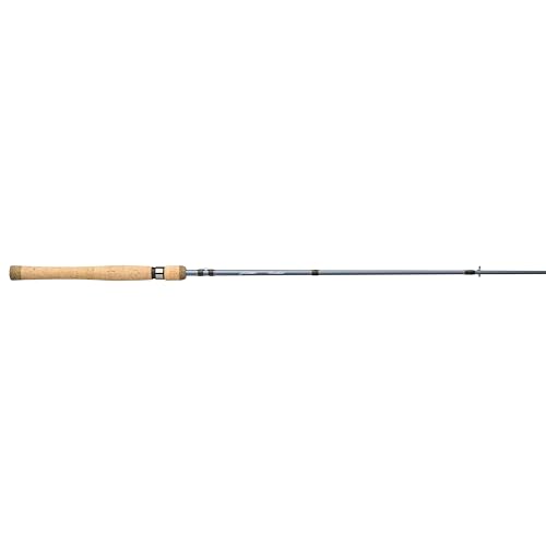 Pflueger President Spinning Fishing Rod