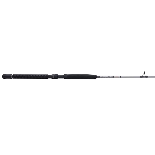 PENNPrevail II Surf Spinning Rod, 10', 2pc, Medium