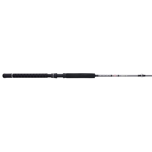 PENNPrevail II Surf Spinning Rod, 10', 2pc, Medium