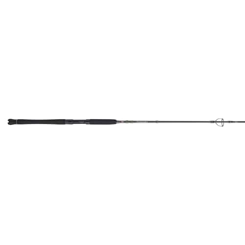 Penn Carnage III Inshore Spinning Fishing Rod