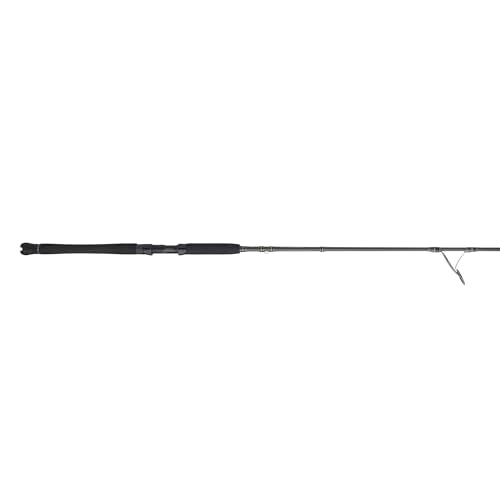 Penn Carnage III Inshore Spinning Fishing Rod